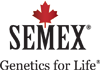 SEMEX Logo